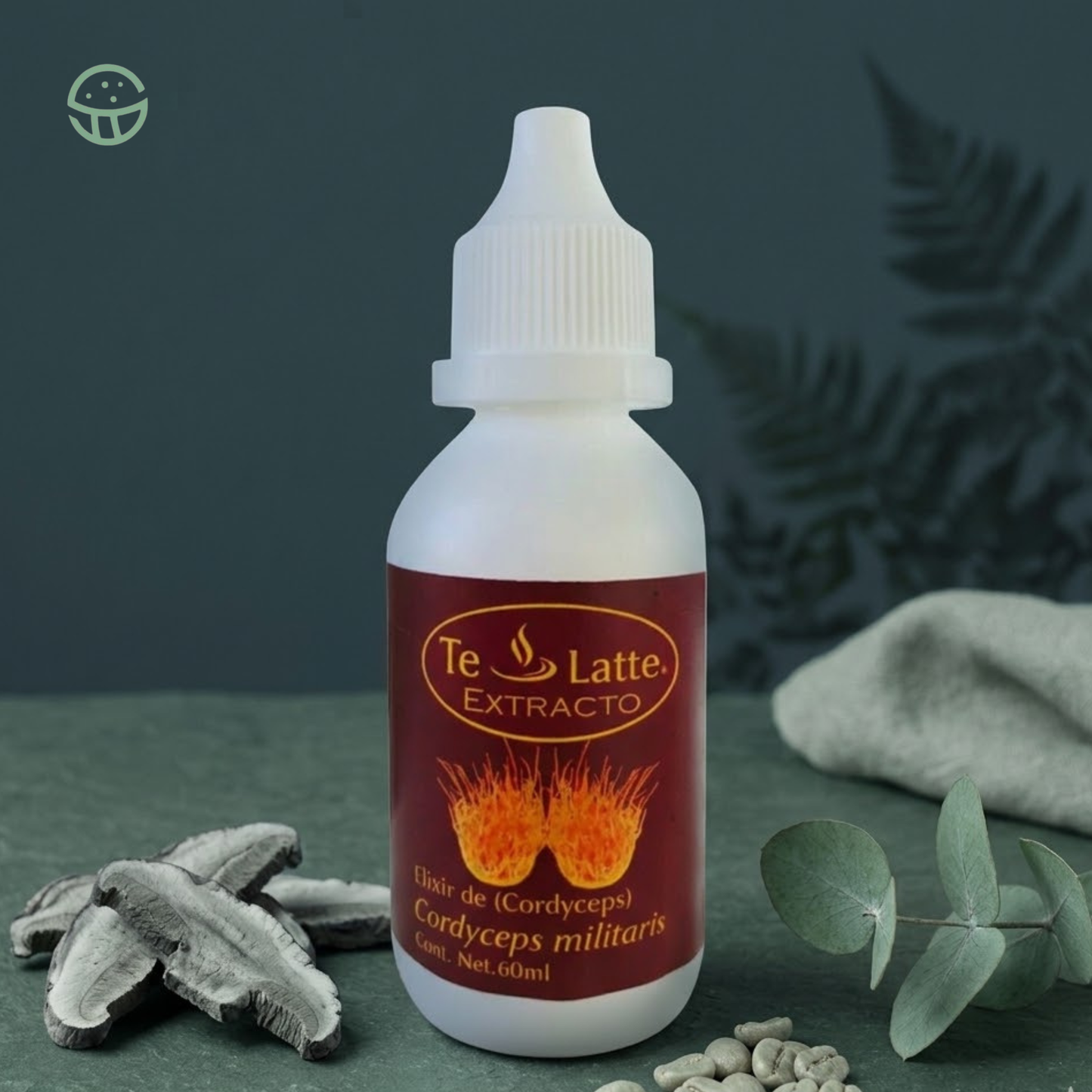 Elixir de Cordyceps