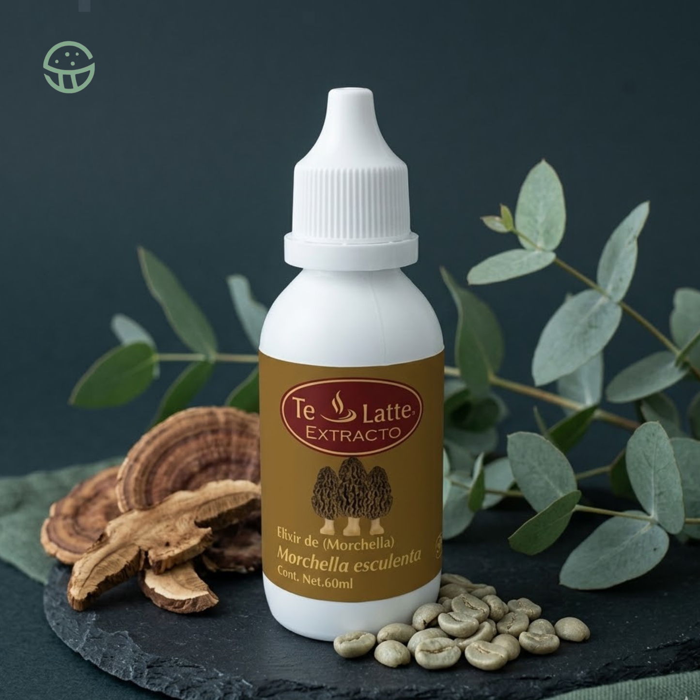 Elixir de Morchella