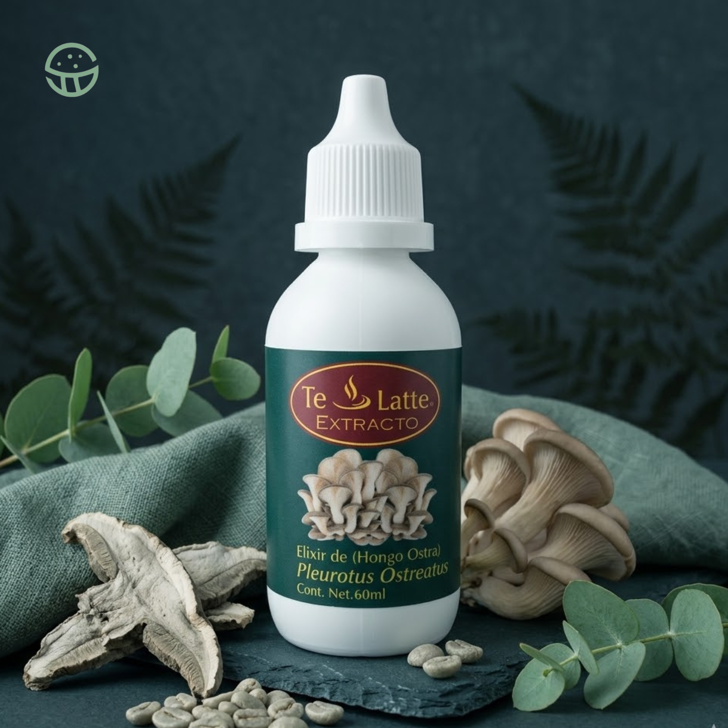 Elixir de Pleurotus