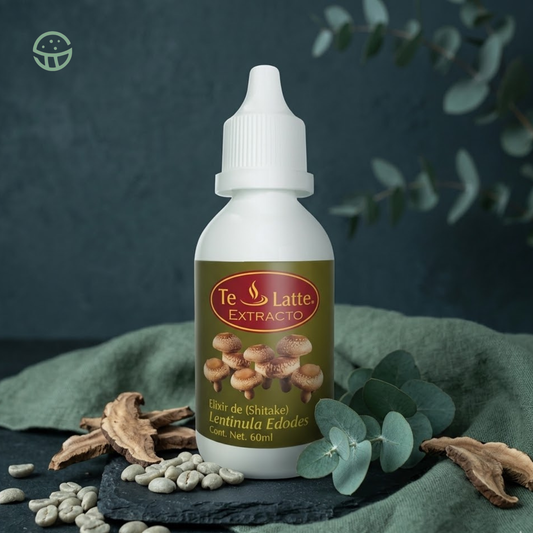 Elixir de Shiitake